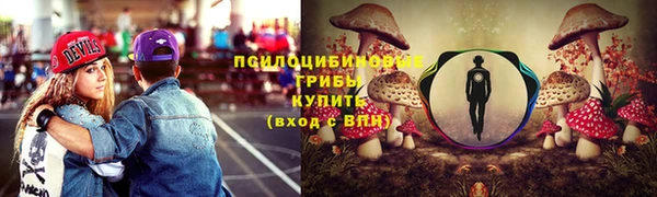 хмурый Вязьма