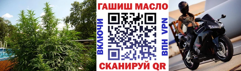 как найти наркотики  блэк спрут маркетплейс  ТГК концентрат  Пролетарск 