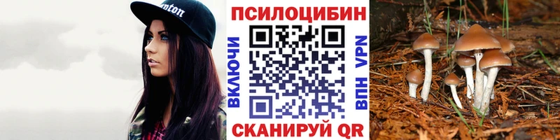 Псилоцибиновые грибы прущие грибы даркнет сайт Пролетарск